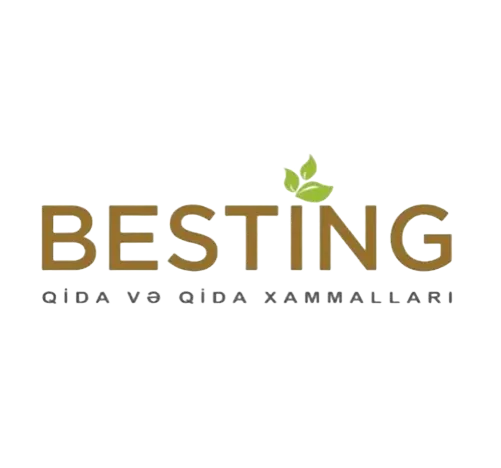 BESTİNG MMC